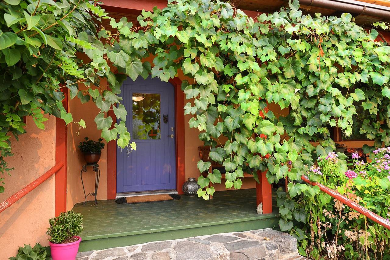 Sunshine Villa B&B Madeira Park Екстер'єр фото